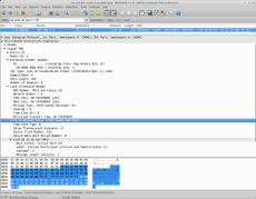 Wireshark example